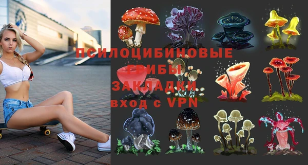 Альфа ПВП Алексеевка