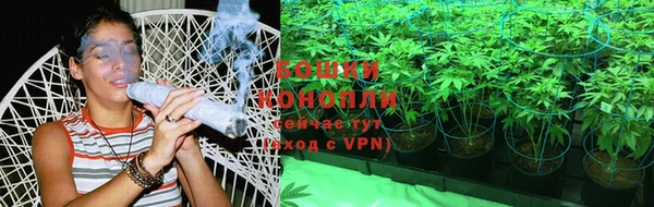 шишки Мегион
