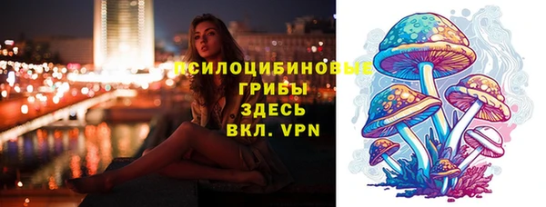 соль ск Медвежьегорск