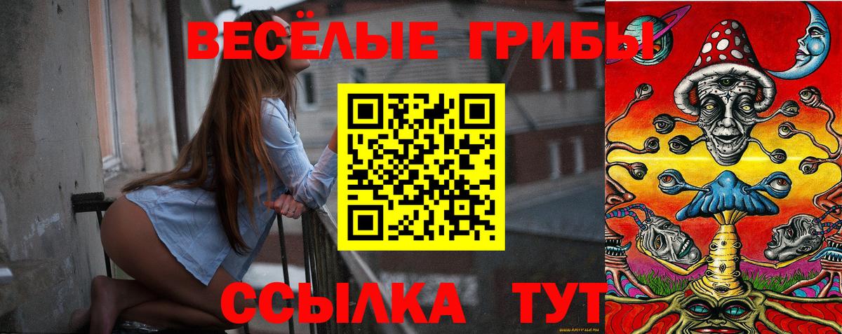 Галлюциногенные грибы Magic Shrooms Тейково